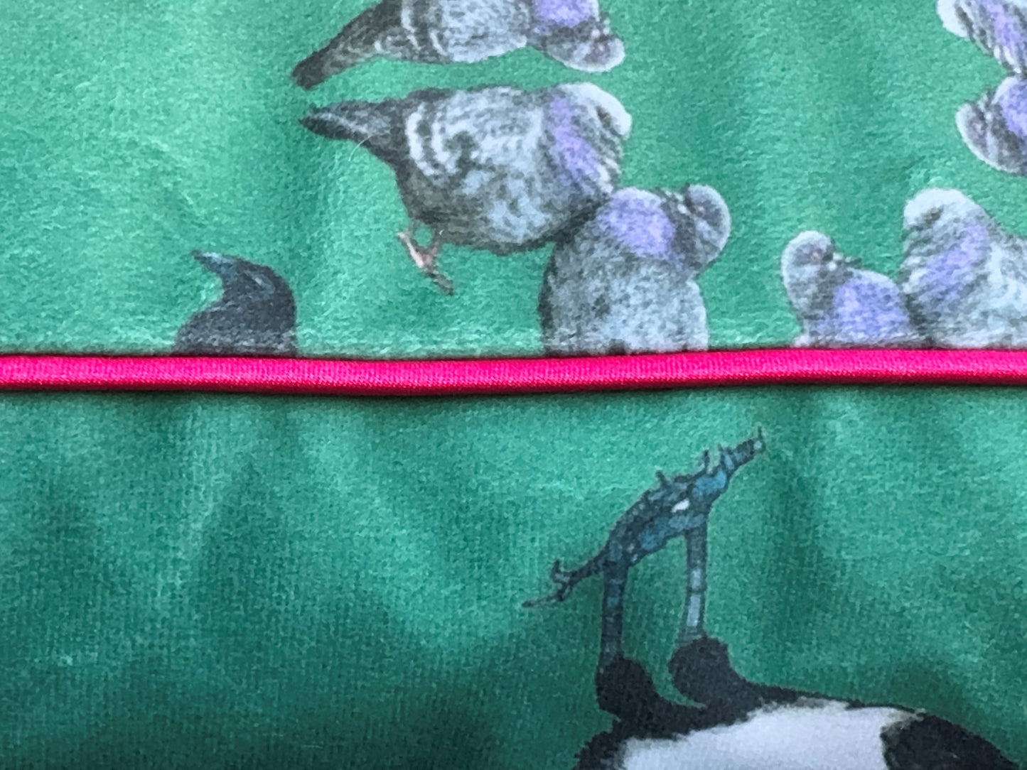 Magpies and Pigeons Cushions