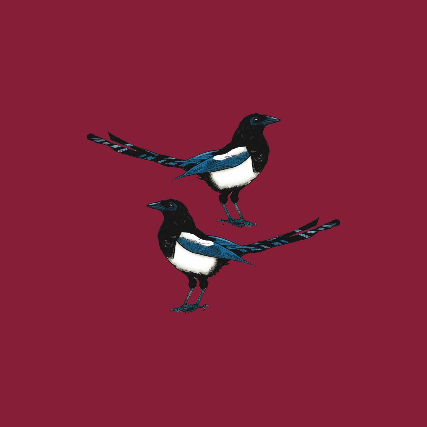 Magpies Two For Joy Cushion