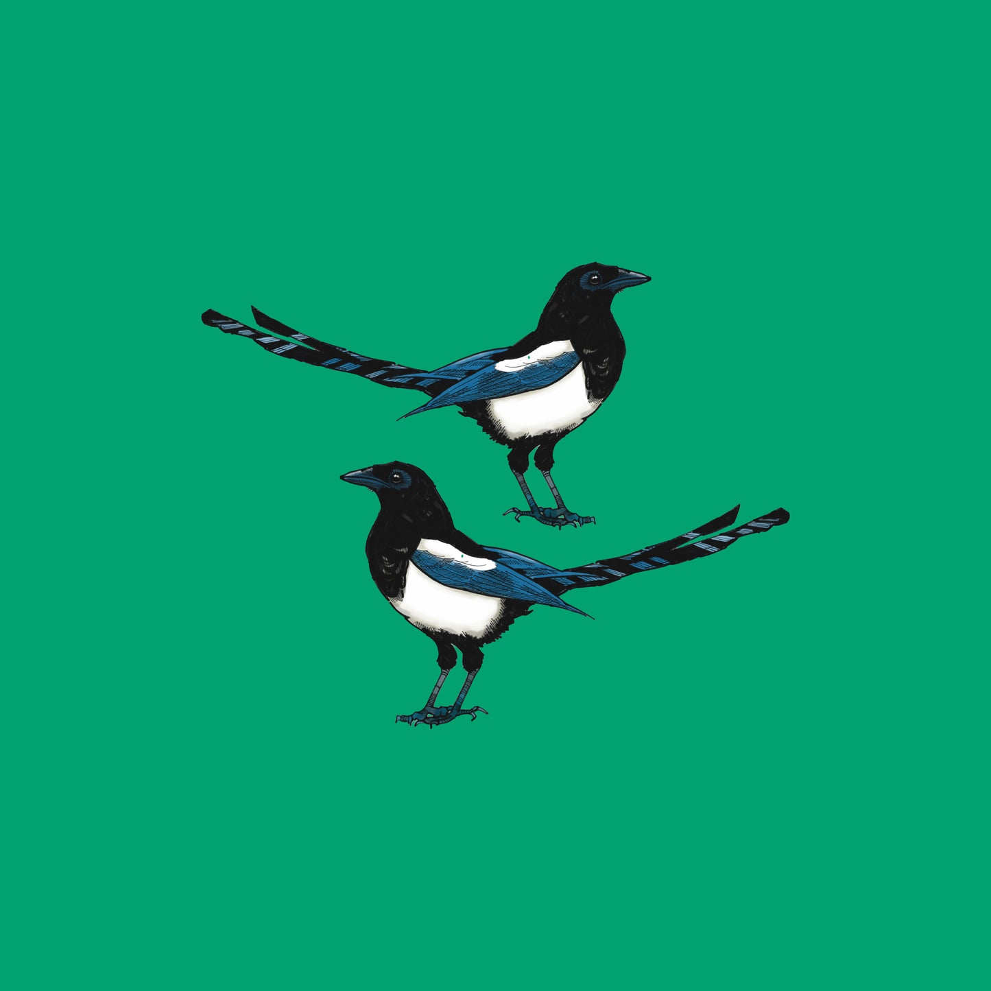 Magpies Two For Joy Cushion