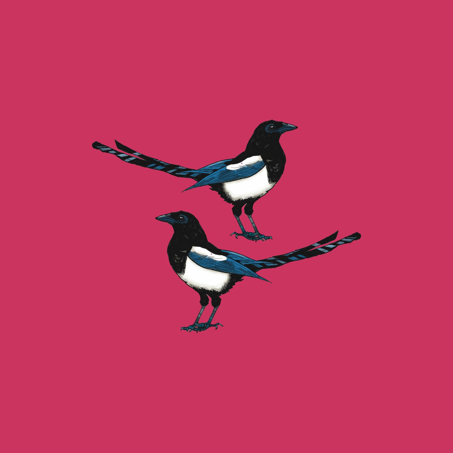 Magpies Two For Joy Cushion