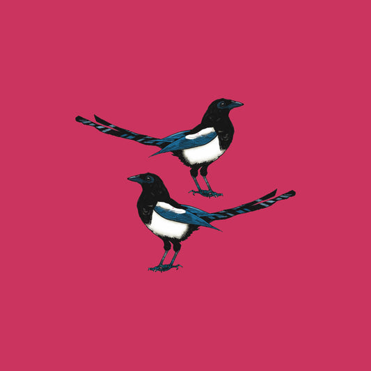 Magpies Two For Joy Cushion