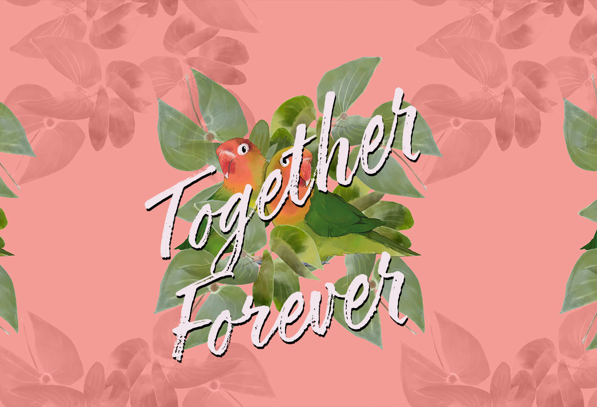 Lovebirds Together Forever NEW